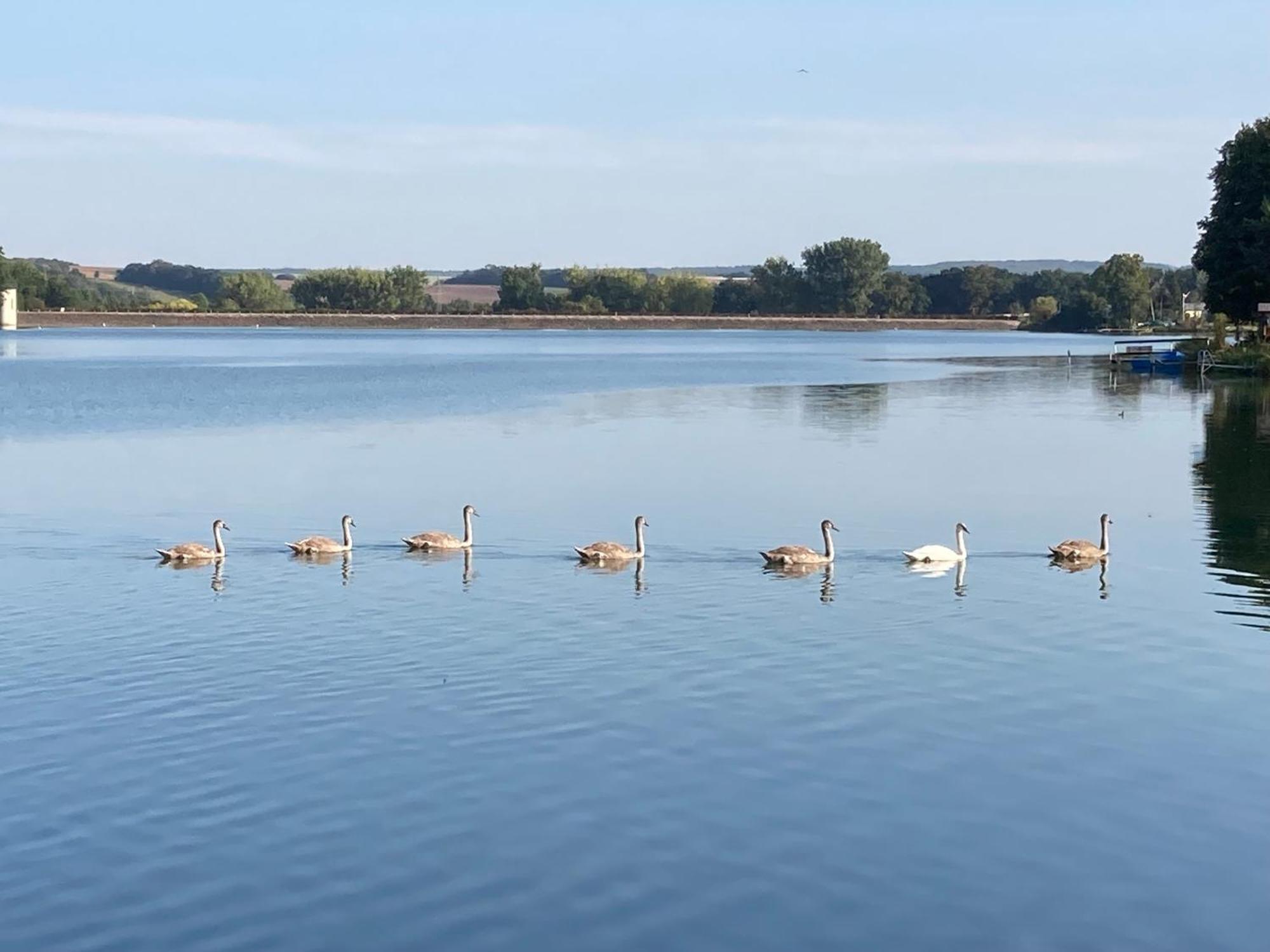 Campingfass Mit Panoramaterrasse Langenbernsdorf Esterno foto